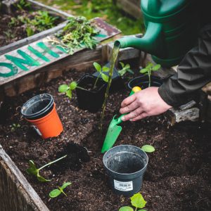 Gardening